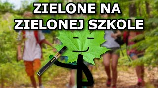 JAK PALIĆ PRZYPRAWĘ NA WYCIECZCE SZKOLNEJ? (PYTANIA DO Q\u0026A)