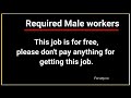 male office staff required for company