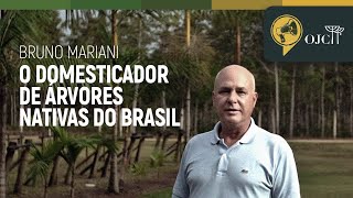 O domesticador de árvores nativas do Brasil