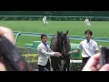 リアアメリアと川田騎手、新馬戦の口取り。現地映像、阪神競馬場