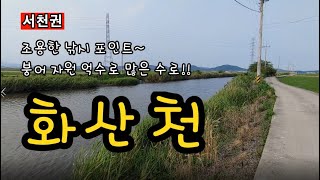 [서천]_ 화산천 / 붕어 자원 억수로 많은 수로 / 충남 서천군 화양면 망월리