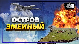 Произошло полное фиаско армии РФ: как оккупанты бежали со Змеиного - Коваленко, Самусь