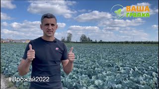 Врожай 2022 на фермерському господарстві наших партнерів перевершив очікування🔥