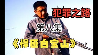 《中国刑侦一号案》悍匪白宝山——第八集（北京作案太显眼，南下徐水找机会，看到新枪心欢喜，夜晚哨兵又被杀。白宝山得活动范围越来越大，为什么哨兵总是没有防备？）