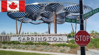 Carrington Park in Calgary | Detailed Look |New Community in Calgary