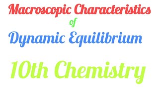 Macroscopic Characteristics of Dynamic Equilibrium