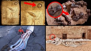 Amazing Discoveries That Will Shock You!