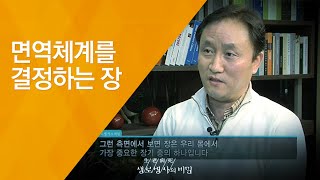 면역체계를 결정하는 장 - (20130209_448회 방송)_장 속 유익균이 건강을 지킨다