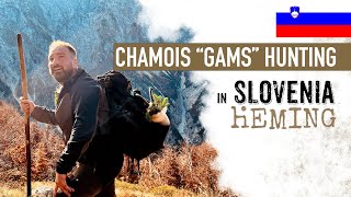 SLOVENIA | chamois / gams hunting