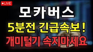 [모카버스 코인] 5분전 긴급속보! 개미털기 속지마세요!