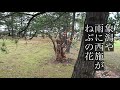 奥の細道・俳句動画 15 象潟編　haiku video by okuno hosomiti 15