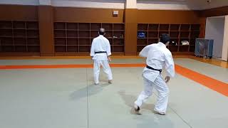 Budo training in Aikido　No 140 ６Koshinage 腰投