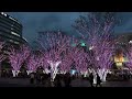 jr博多駅「さくらイルミネーション 」 2016年版（4k）