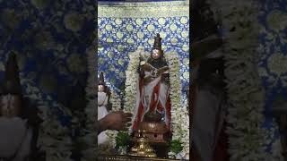 Paris Sri Chenna Kesava Perumal Thirumanjanam | Abhishekam | Patnam Perumal Temple பெருமாள் தரிசனம்