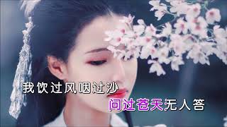 花僮 《浪子闲话DJ名龙版 》 KTV 导唱字幕