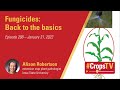 Fungicides: Back to the basics