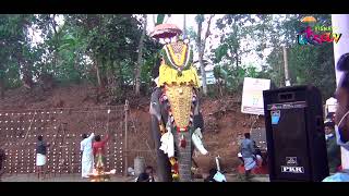 SREEKRISHNA SWAMI TEMPLE PAMPADY 2022 MAKARASAMKRAMA UTSAVAM