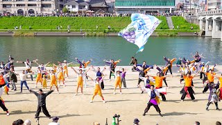 [4K] 総踊り⑥「一天涛快 / 晴れルヤ！」　どまつり夜桜in岡崎 2024