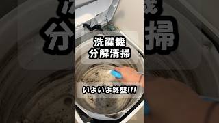 洗濯槽クリーナーだけでは限界なのか！？DIYで洗濯機を分解洗浄したら半端じゃなかった！！！⑧【日立ビートウォッシュ BW-V80A】#diy＃掃除#洗濯機＃洗濯機洗浄#hitachi