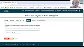 Horse Sport Ireland webinar to demonstrate new e-passport system 'Horse Source'