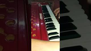 naseeba harmonium part choti si koshish❤❣️🌺