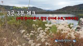 붕어낚시터 3분 체크 (사천 완사저류지 외 2곳) - Hello월척씨 !