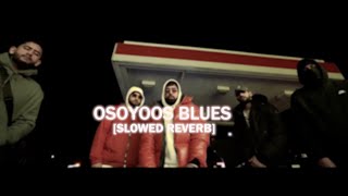 OSOYOOS BLUES - BHALWAAN(SLOWED+REVERB)