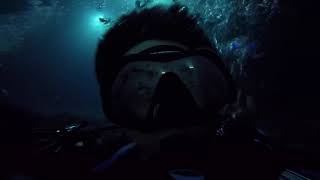 Diving with the Manta Rays in Kona