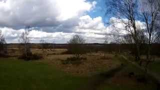 Chobham Common