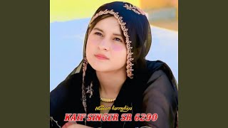 kaif singer sr 6290