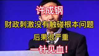 【许成钢】这一轮财政刺激没有触碰到根本问题，后果很严重。一针见血！