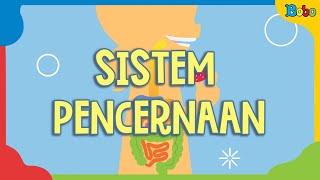 Sistem Pencernaan Manusia - Fakta Menarik