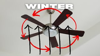 What Direction Should My Ceiling Fan Run in WINTER?