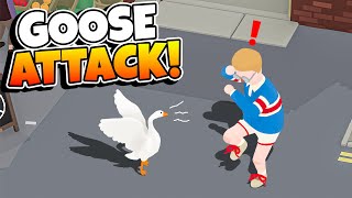 Goose Attacks Unsuspecting Town?!