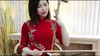 美女二胡演奏《你》太好听了