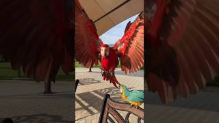 ഇത്രയും ഭംഗിയുള്ള തത്തകളോ?🐤🦜Beautiful Macaw parrots #macaw #parrot