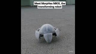 Meet MorpHex MKIII, the transforming robot