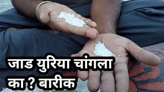 युरिया खत कसे वापरावे | यांचे फायदा | बारीक की मोठा | कोणता युरिया चांगला | महत्व |2022 |जालना