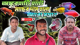 Ankurhati Pet Fish Market। অঙ্কুরহাটি পশু প্রাণীর হাটে। Ankurhati Fish Pet Market 2024।