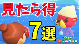 【あつ森】七夕は？ラコスケ/海の幸30種類以上/素潜り/新家具/新情報 ・・・夏の無料アップデート7選【あつまれどうぶつの森】[2020.7.3 配信]