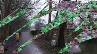 寻找春天的味道 - Rainy Day in Spring