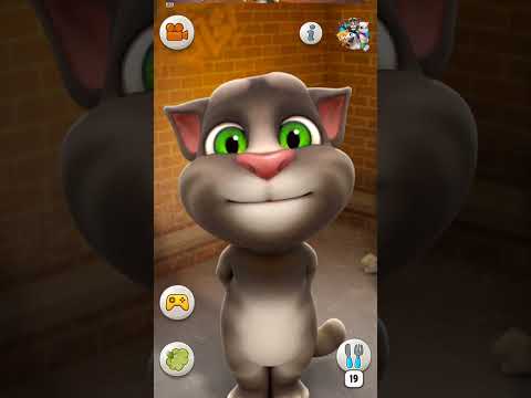 Talking Tom 2 Juego de amor a los gatos Parrot Talking #tom Taking #talkingtom #cat #tomlover