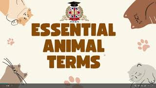 Essential Animal Terms for IELTS 雅思词汇之动物