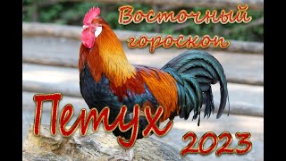 Петух /Восточный гороскоп для Петух на 2023год.