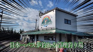 【ドリームレイク】適当なルアーを適当に投げてたら釣れると思ってた時代がありました【管理釣り場】