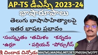 తెలుగు భాషాసాహిత్యాలపై ఇతర భాషల ప్రభావం -1| JL-DL-DSC-PGT-TGT| చిందాడ చిన్నోడు |#chindadachinnodu