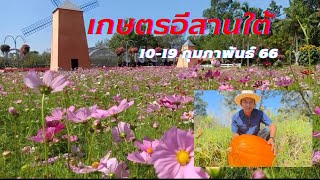 ขอเชิญเที่ยวงานเกษตรอีสานใต้ วันที่ 10-19 กุมภาพันธ์ 2566 ณ มหาวิทยาลัยอุบลราชธานี