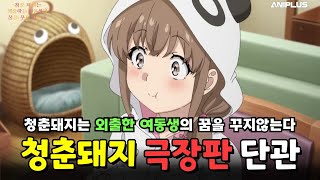 회사에서 청춘돼지 단관 V-log와 1주차 특전은?