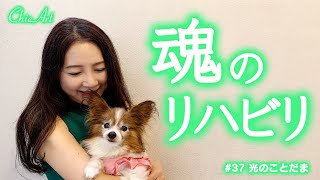 #37【夢のメッセージ】光を知っているかどうかが大事な理由