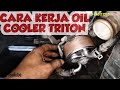 Fungsi dan cara kerja Oil cooler Triton